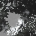 http://client.lightizm.com/files/gimgs/th-76_71_Nostalgia2_v2.jpg